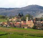 Cogny Et Chapelle De Saint Bonnet - Beaujolais