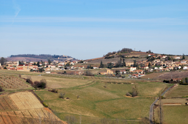 Cogny et Château Montmelas Buis du Chardonnet Beaujolais