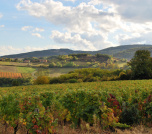 Gite 12 Personnes Beaujolais Buis Du Creux