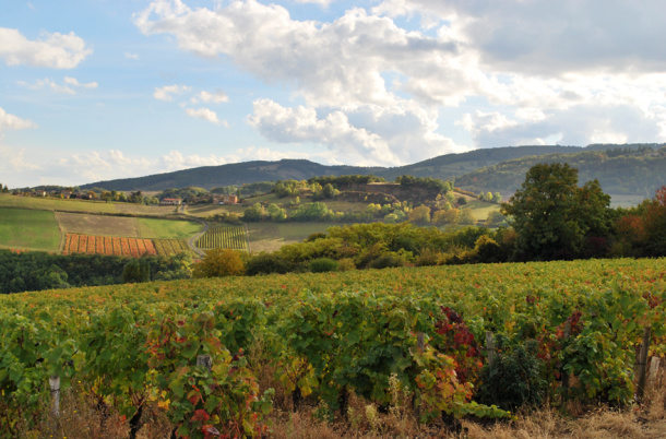 Gite 12 personnes Beaujolais Buis du Creux