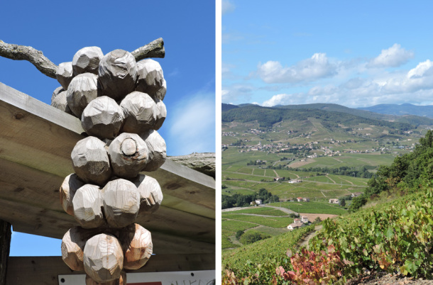 Mont Brouilly Beaujolais