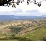 Oingt Beaujolais Buis Du Chardonnet