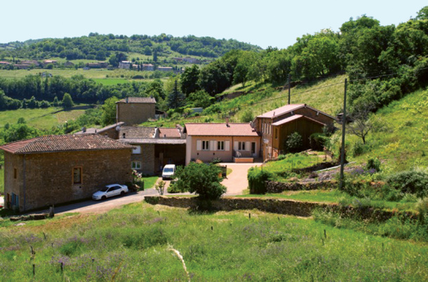 Gite Buis du Creux - Cogny - Beaujolais