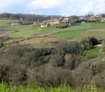 Les Buis Du Chardonnet - Gite Beaujolais