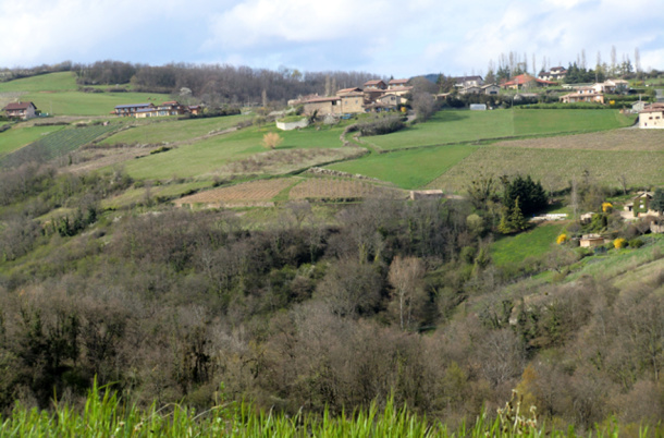 Les Buis du Chardonnet - gite beaujolais